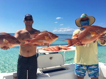green turtle club resort and marina
