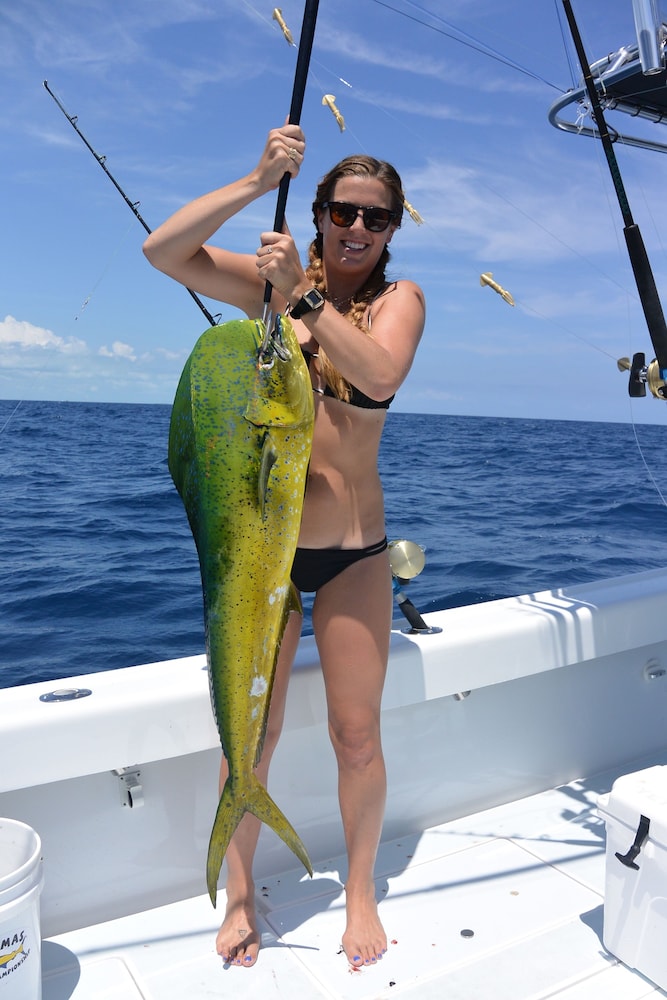 green turtle club resort and marina