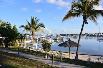 green turtle club resort and marina