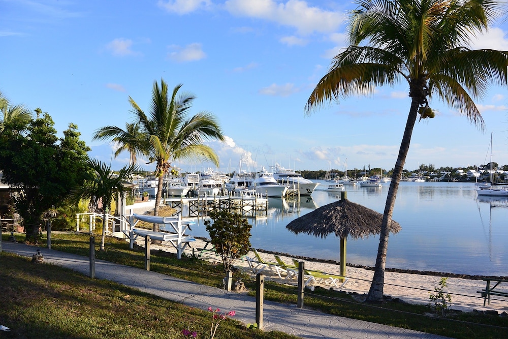 green turtle club resort and marina