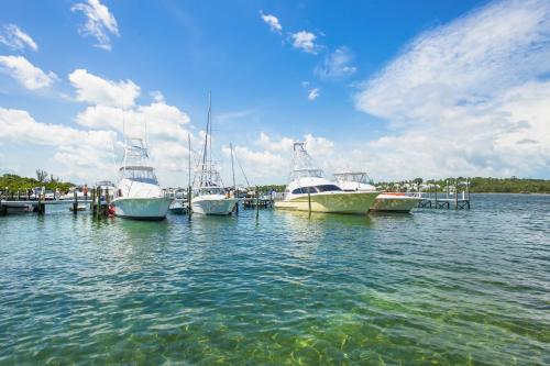 green turtle cay