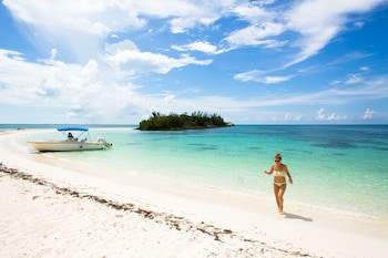 green turtle club resort and marina