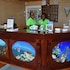 green turtle cay