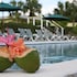 green turtle cay