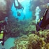 green turtle cay