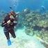 green turtle cay