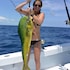 green turtle cay