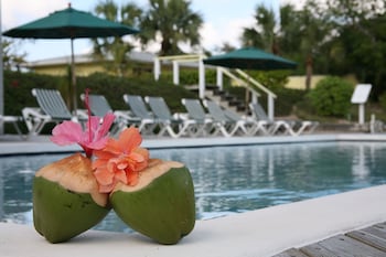 green turtle cay