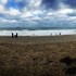 falmouth
