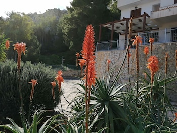 albergo auralba adults only