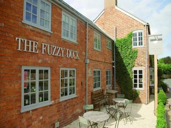 the fuzzy duck