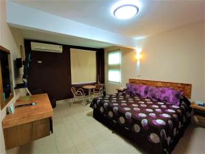 hotel santo domingo