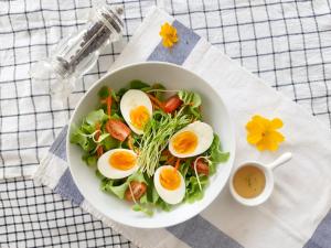 kanchanaburi city hotel