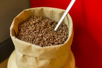 ibis barcelona castelldefels