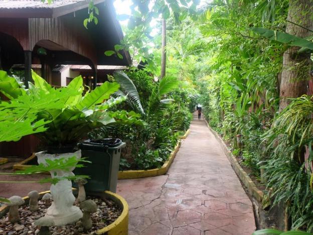 the stay chaweng beach resort