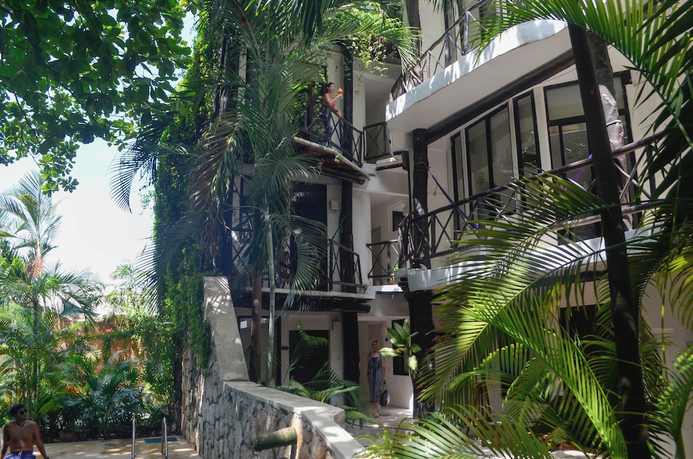 siesta fiesta hotel adults only 5th avenue