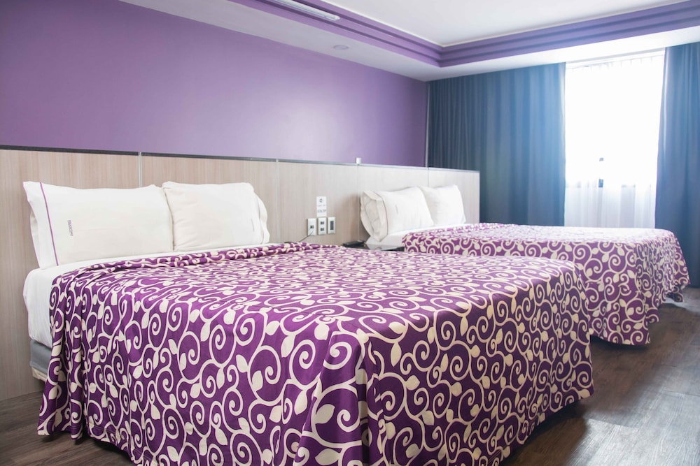 hotel max