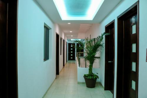 hotel playa linda