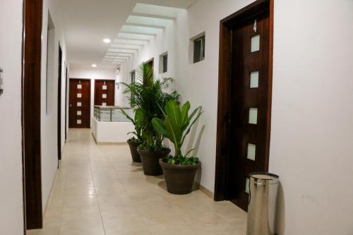 hotel playa linda