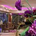 hotel luxsur