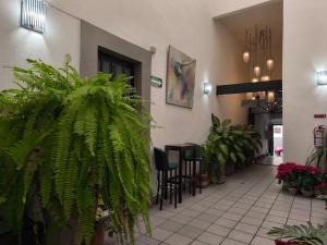 san miguel de allende