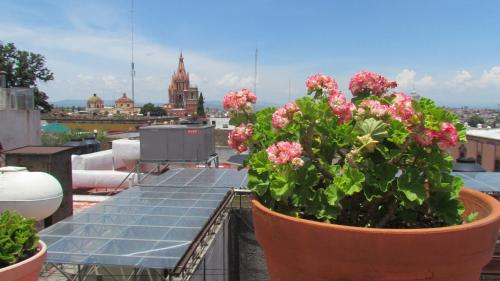 san miguel de allende