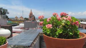 san miguel de allende