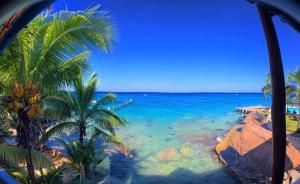 Blue Angel Resort,Riviera Maya>>Cozumel,3 star