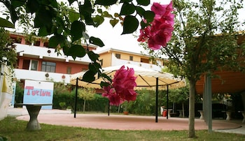 santa maria del cedro