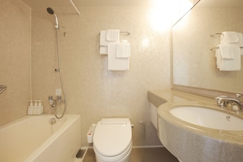 hotel lumiere nishikasai