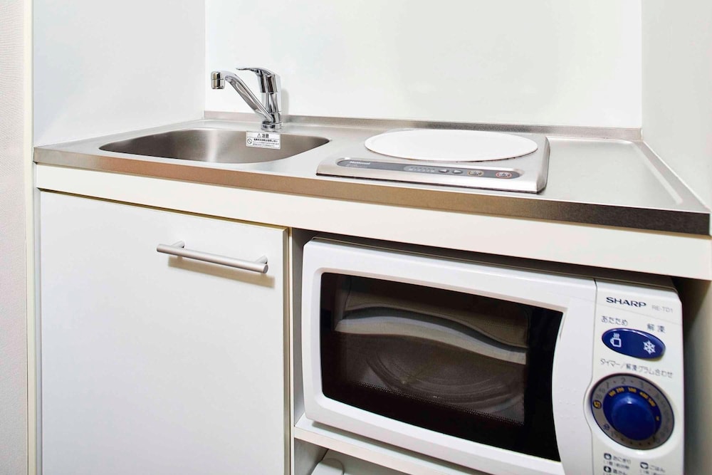 hotel lumiere nishikasai