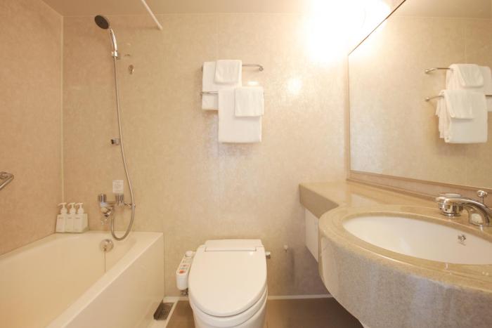 hotel lumiere nishikasai