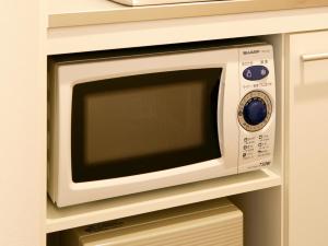 hotel lumiere nishikasai