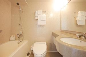 hotel lumiere nishikasai