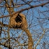 estancia rio de las aves
