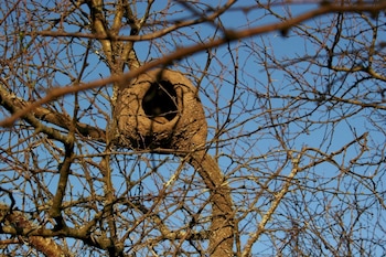 estancia rio de las aves