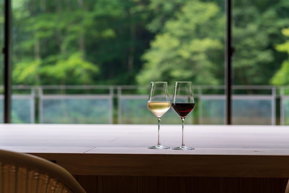 kamenoi hotel nikko yunishigawa all inclusive resort