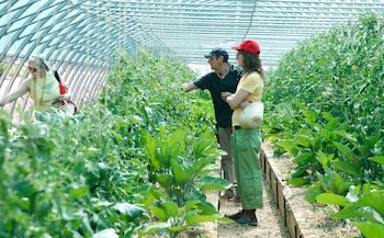 Cerdanya Viva Ecoestades,Bellver De Cerdanya>>Barcelona,3 star