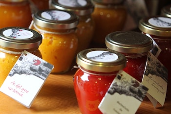 Cerdanya Viva Ecoestades,Bellver De Cerdanya>>Barcelona,3 star