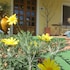 hotel girasole