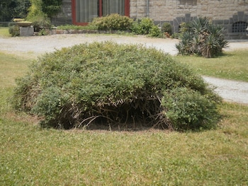 albergo villa and roma