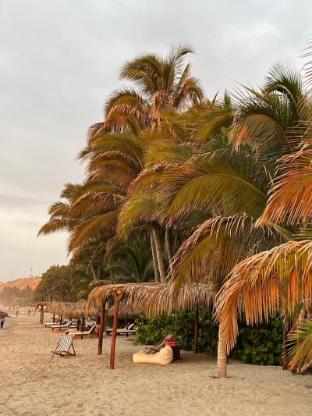 mancora
