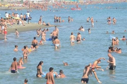 bellaria igea marina