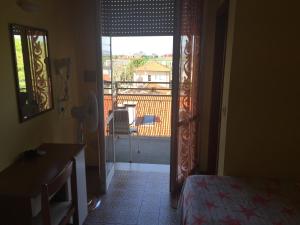 bellaria igea marina