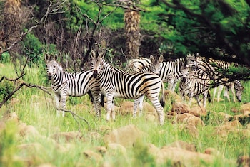 fugitives drift lodge