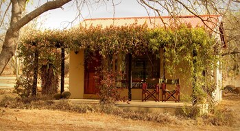 msinga