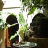 hotel riad belleville