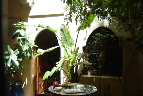 hotel riad belleville