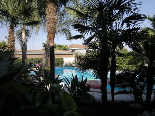 hotel resort novelli
