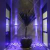 i am jazz boutique hotel